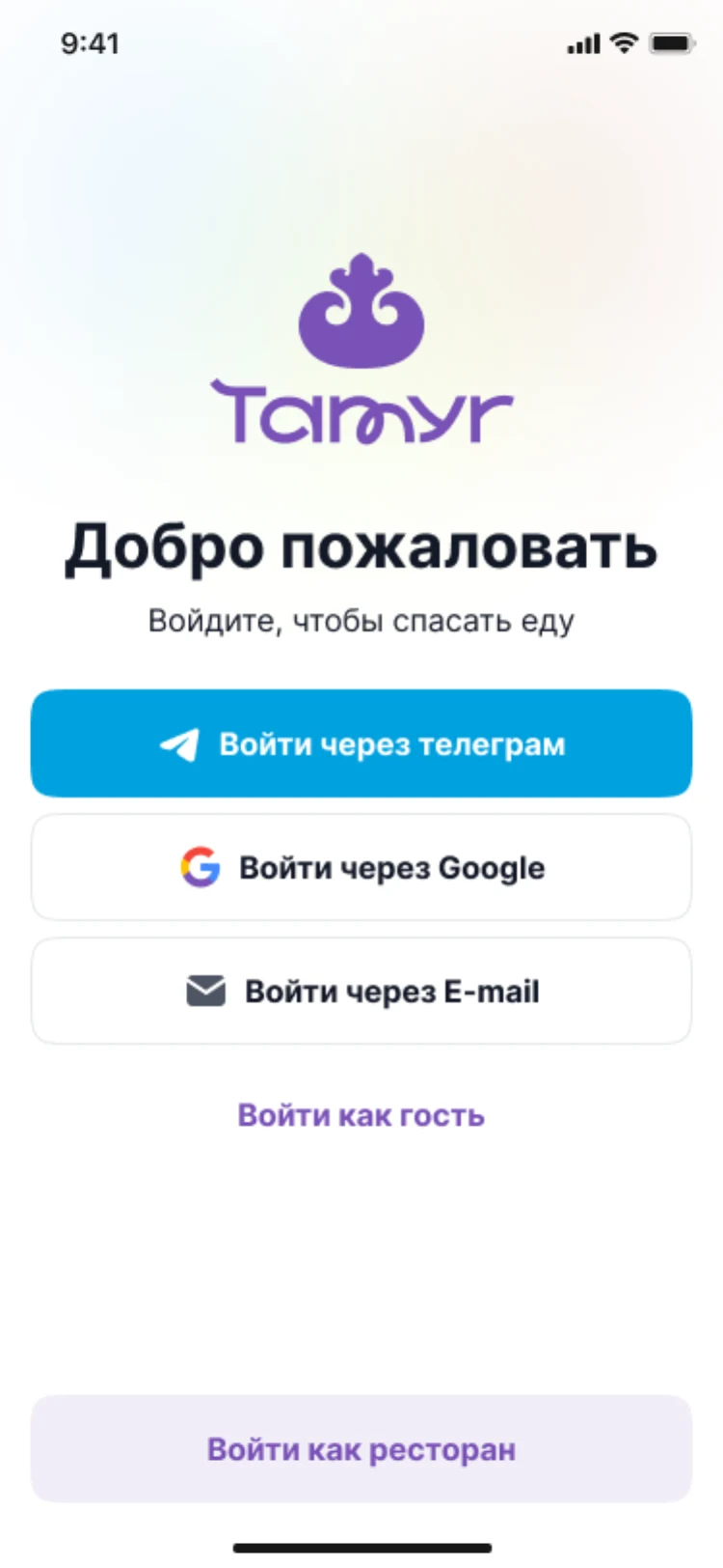 Экран входа в приложение Tamyr